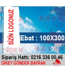 Dikey Gönder Bayrak 100X300